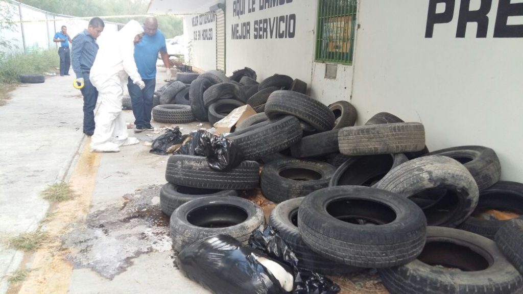 Perros muertos movilizan a autoridades. Perros 1024x576