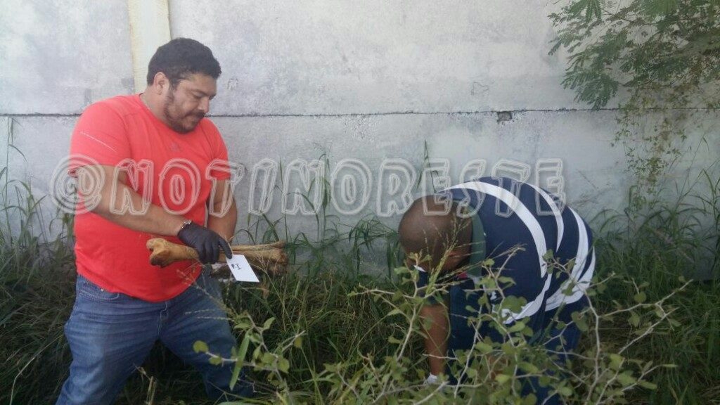 Encuentran osamenta en brecha al oriente de Reynosa. Osamenta 1024x576