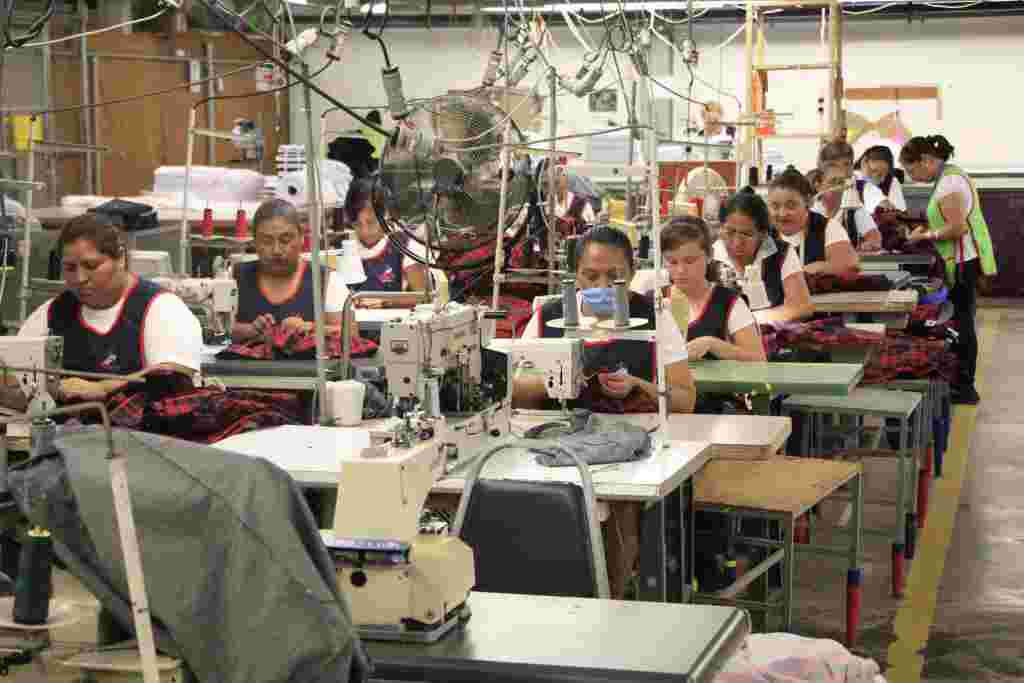 SDE 023 2019. Tamaulipas Tercer Lugar Nacional En Generación De Empleo 1 1024x683