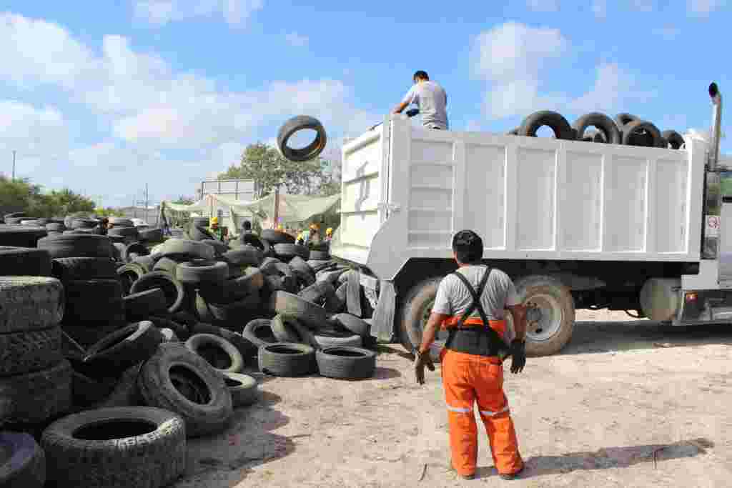 SDU 023 2019. Combate Gobierno De Tamaulipas Contaminación Con Destrucción De Más De 21 Mil Llantas 3 1024x683