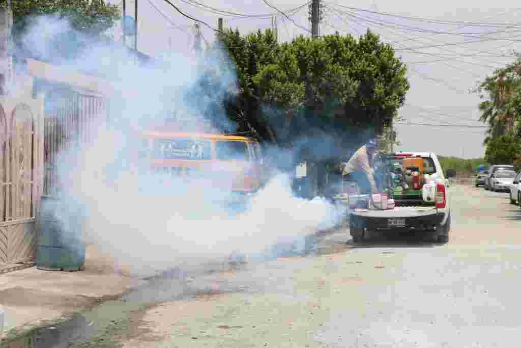Unidos por Tamaulipas beneficia a más de 340 mil reynosenses tras lluvias IMG 2111 1024x683