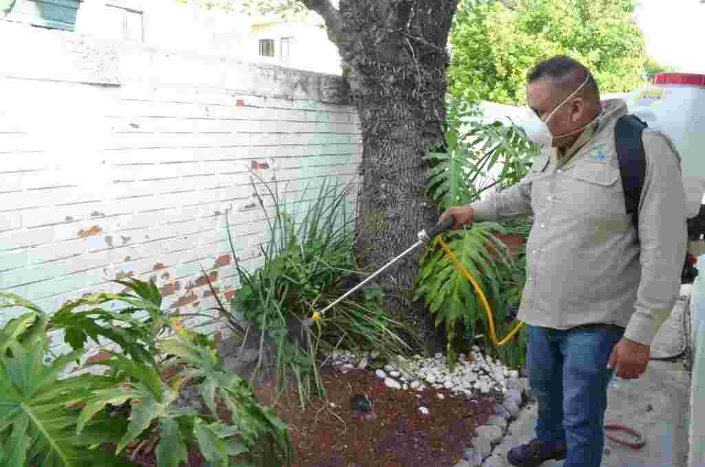 Inicia Gobierno de Tamaulipas plan intensivo de combate al dengue SST 003 2020. Inicia Gobierno De Tamaulipas Plan Intensivo De Combate Al Dengue 3 1024x678