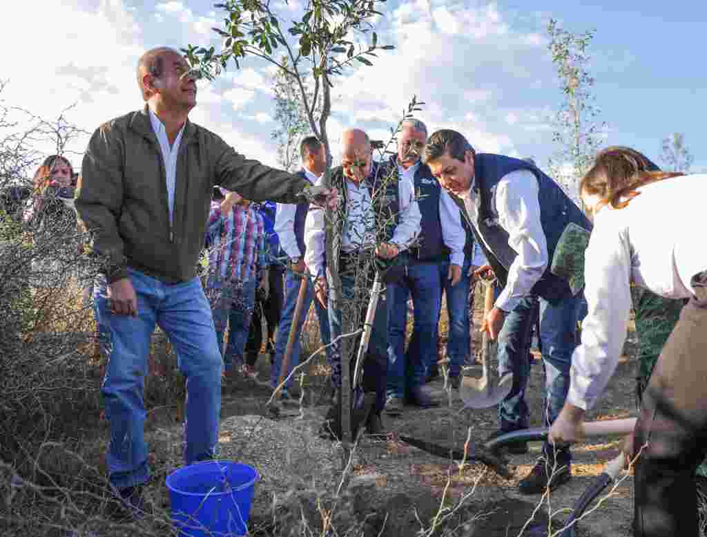 Reforesta Gobierno de Tamaulipas Parque Estatal “El Refugio” TAM 011 2020. Reforesta Gobierno De Tamaulipas Parque Estatal “El Refugio” 1 1 1024x777