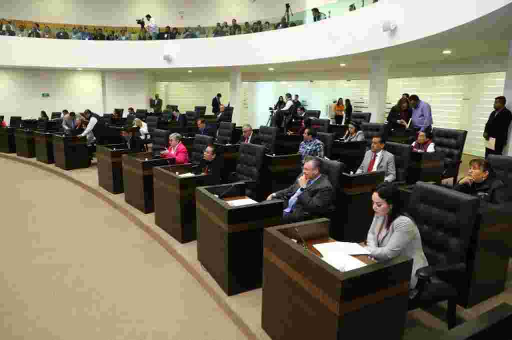Pleno 1024x681