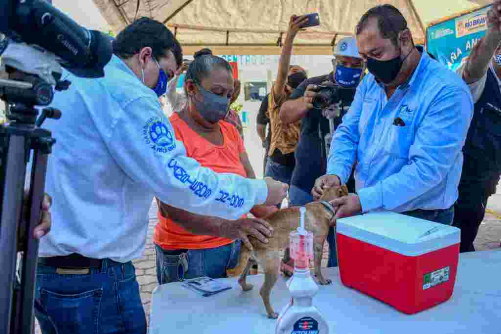 Más de cien mascotas fueron vacunadas en Nuevo Progreso WhatsApp Image 2020 10 01 At 3.33.30 PM 1024x682
