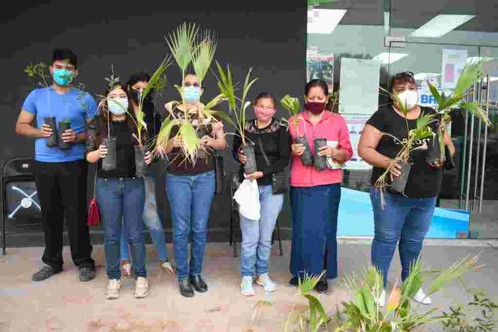 Exitosa entrega de arbolitos en Río Bravo, ciudadanos preocupados por reforestar. WhatsApp Image 2021 03 25 At 6.08.35 PM 1024x682