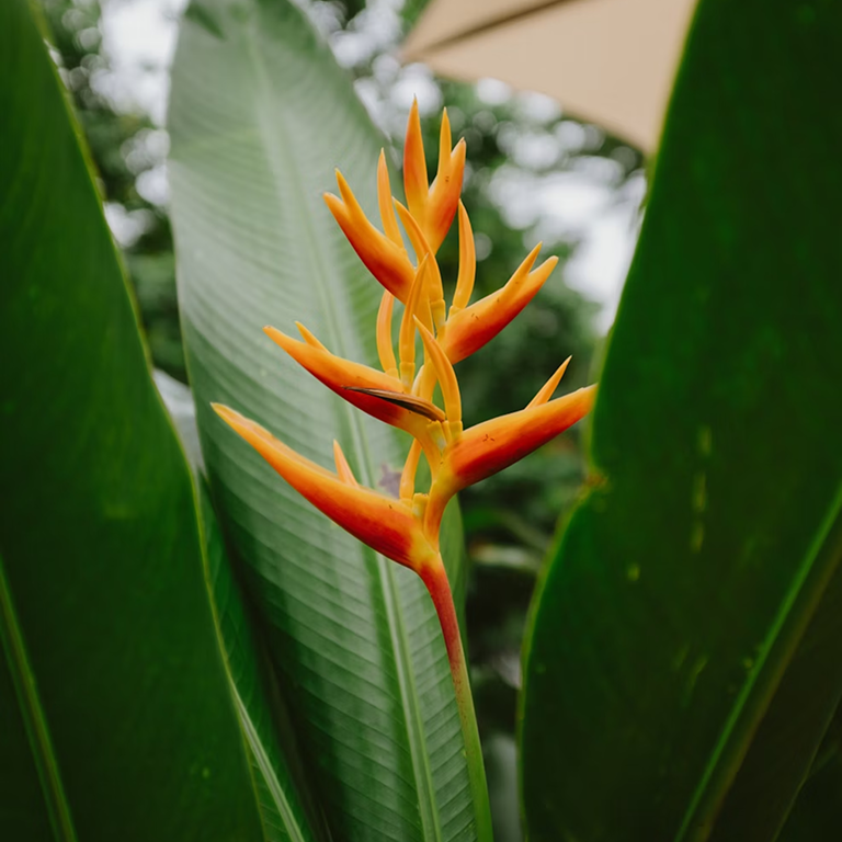 Contacto Image Gallery 1